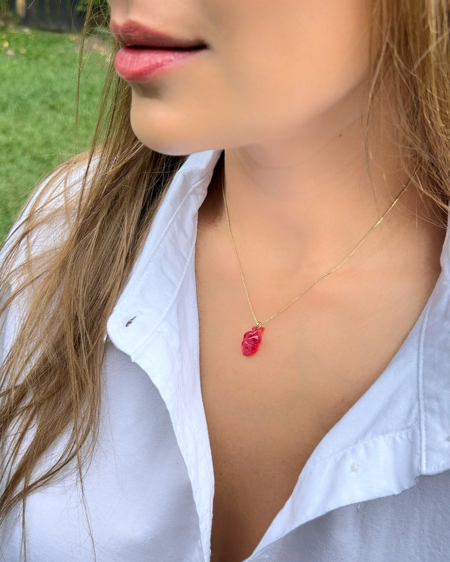 Latidos del Corazón